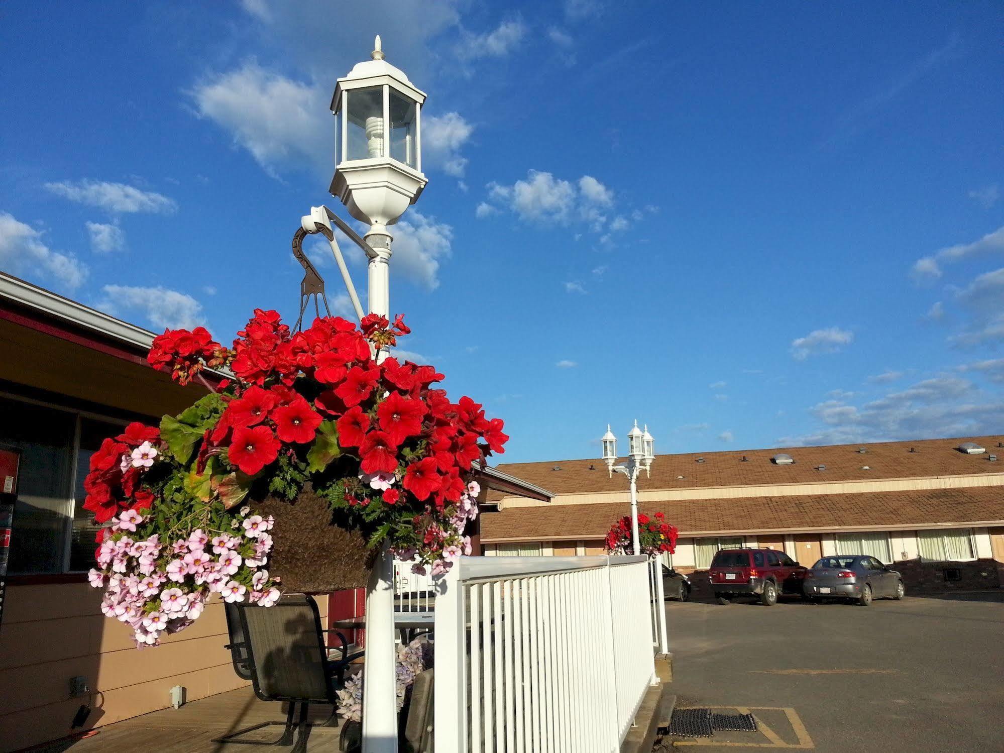 Traveller'S Inn Dawson Creek Exterior foto